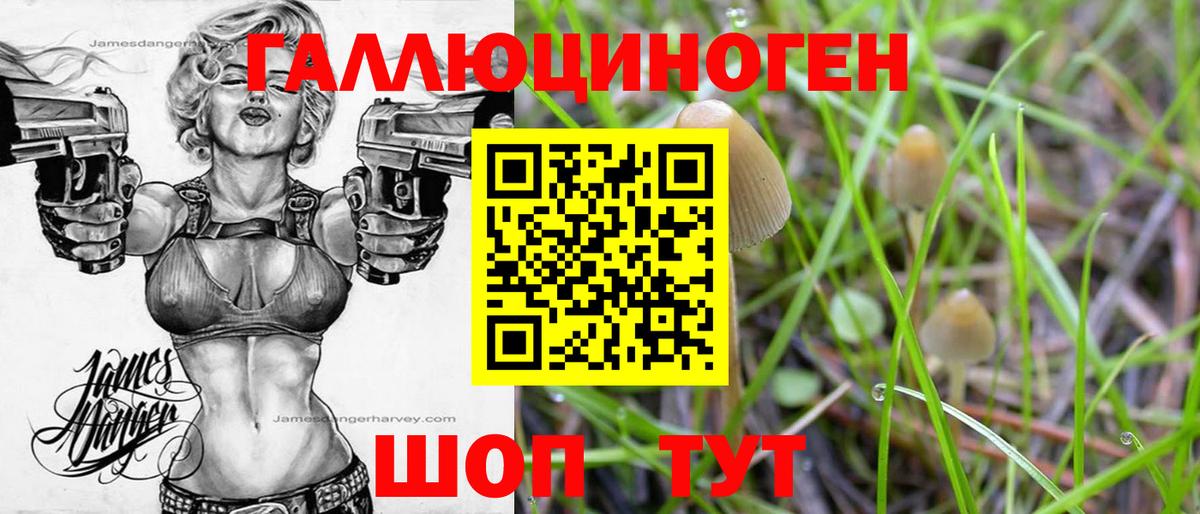 Псилоцибиновые грибы ЛСД Борзя